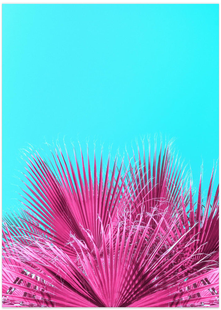 Electric Pink Palm Fronds