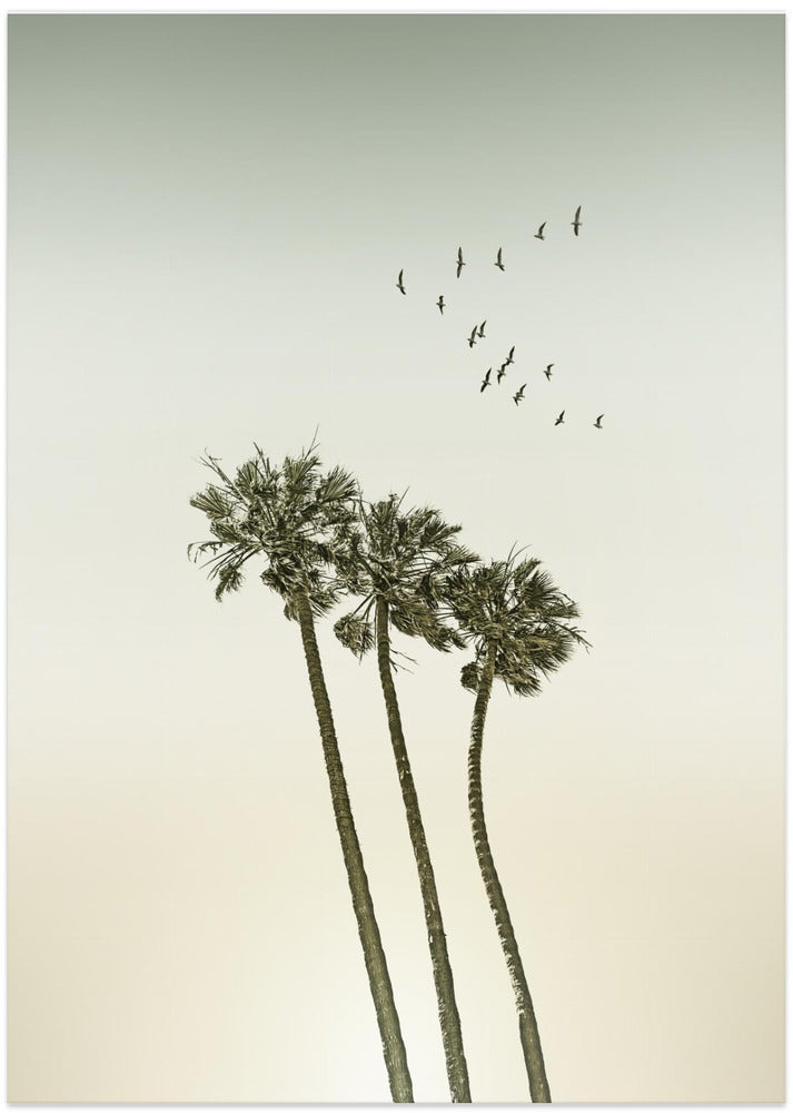 Vintage minimalist palm trees & sunset