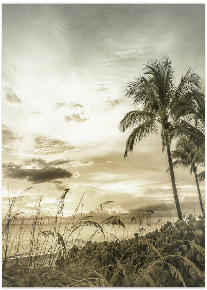 BONITA BEACH Vintage Sunset