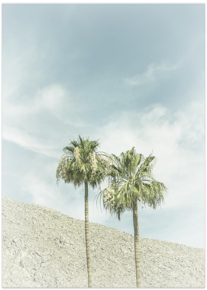 Vintage Palm Trees in the desert