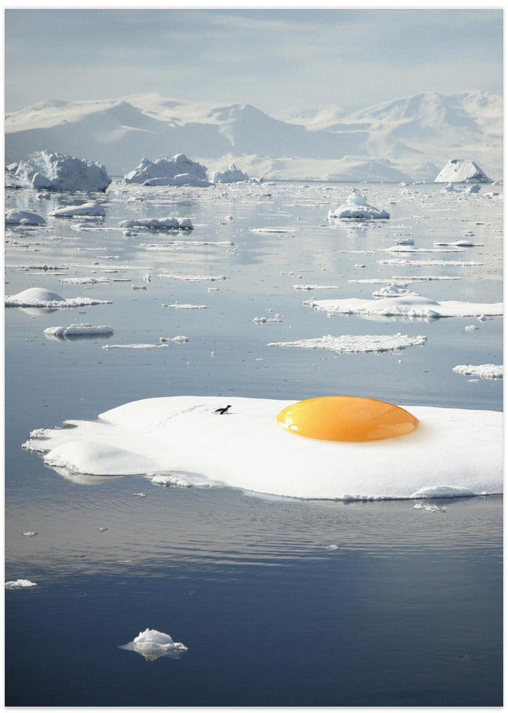 Egg-berg - Arctic Egg Sunny Side Up