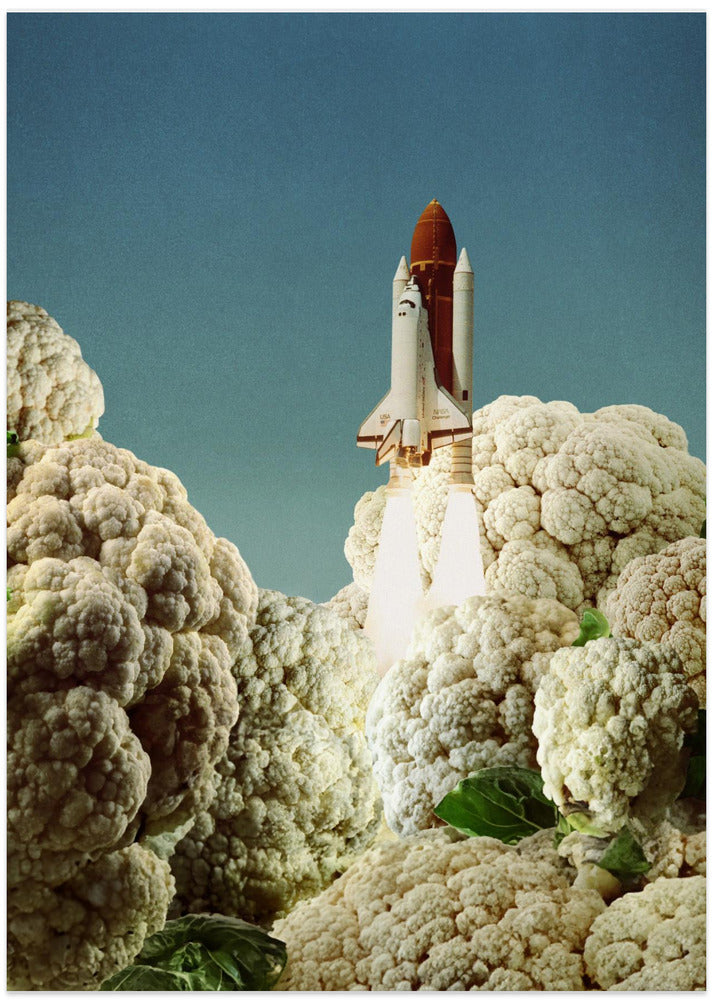 Houston we have cauliflower - Rocket take-off