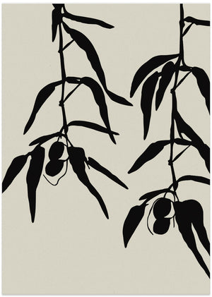 Art Prints of Olive twigs