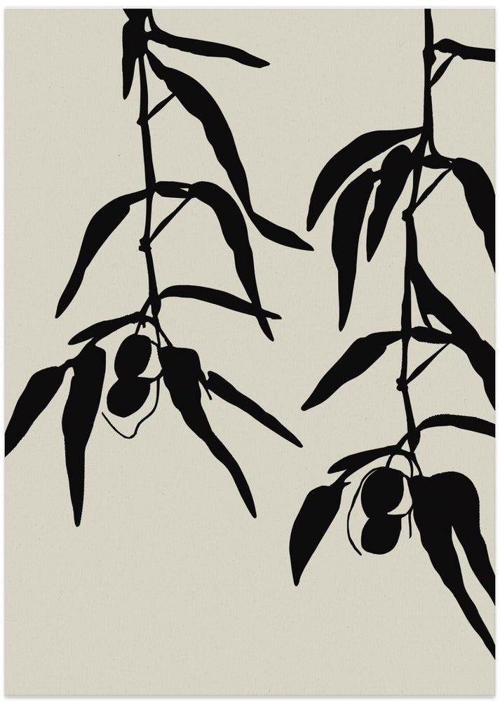 Art Prints of Olive twigs