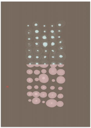 Art Prints of Test Series