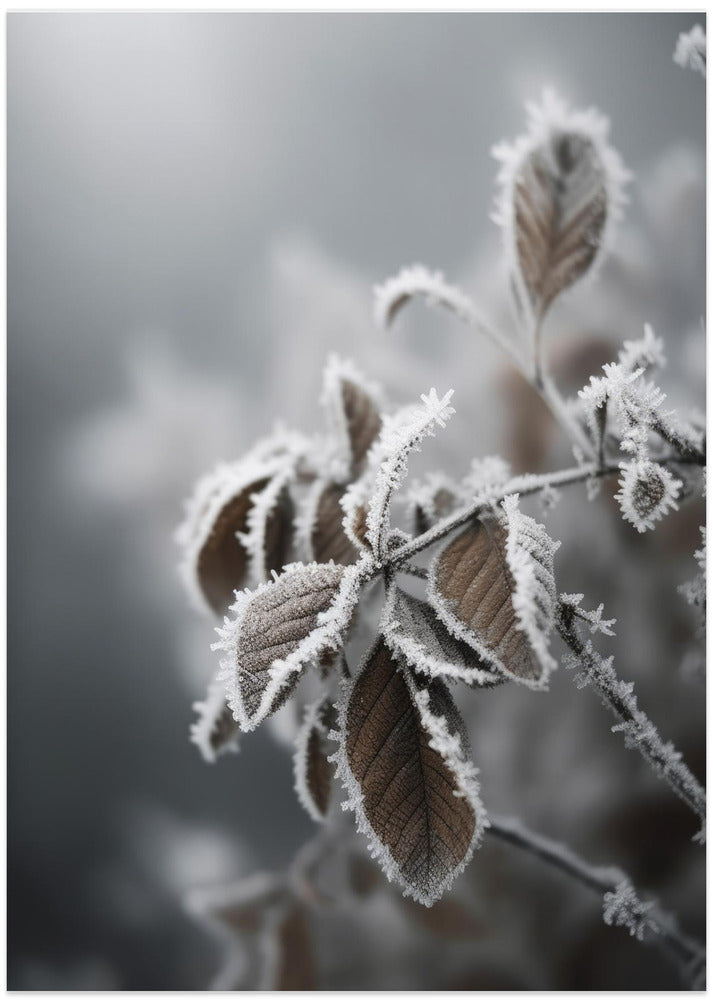 Frozennature