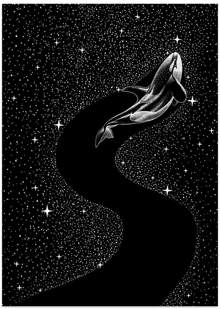 Starry Orca (black Version)