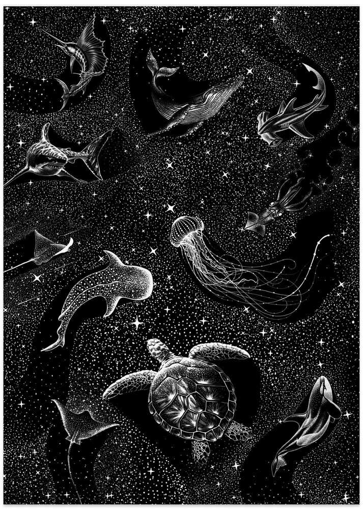 Cosmic Ocean (Black Version)