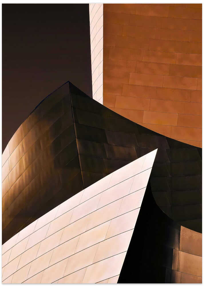 Walt Disney Concert Hall - Los Angeles