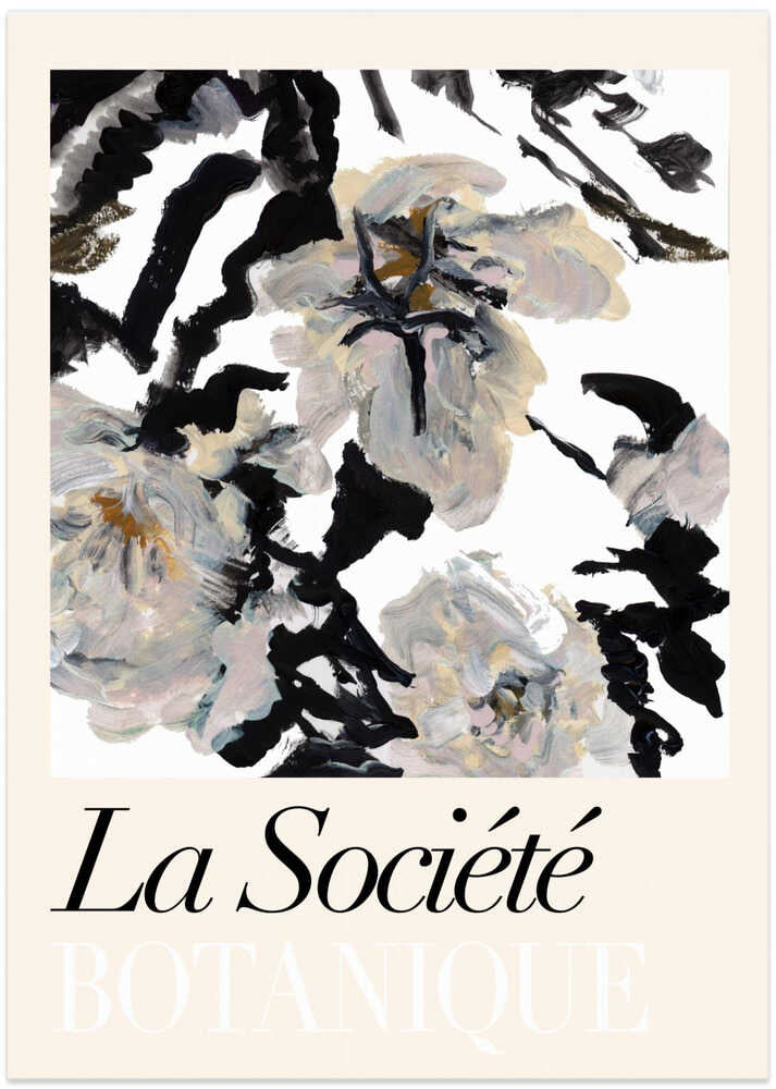 La Société Botanique Balck and White and Cream Flowers 2