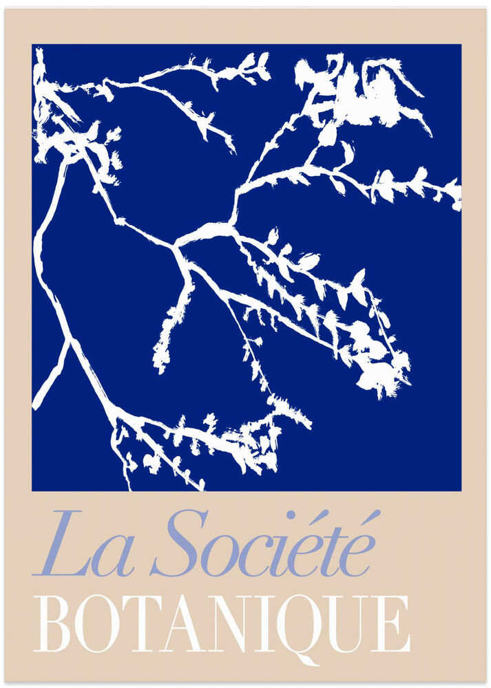 La Société Botanique White Flower 2