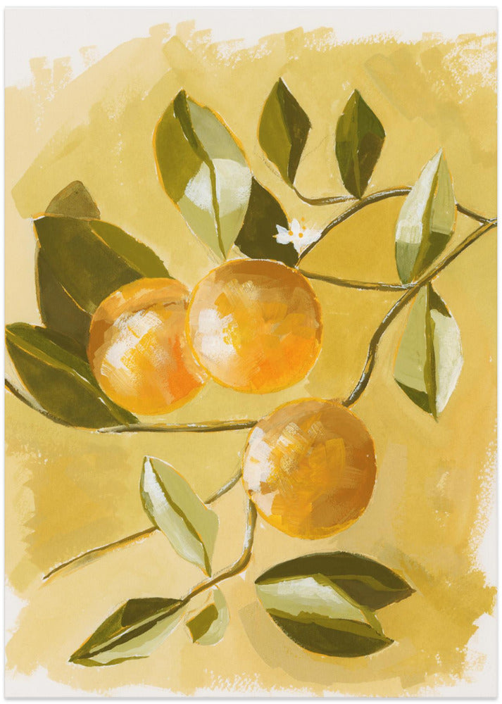 Orange Tree