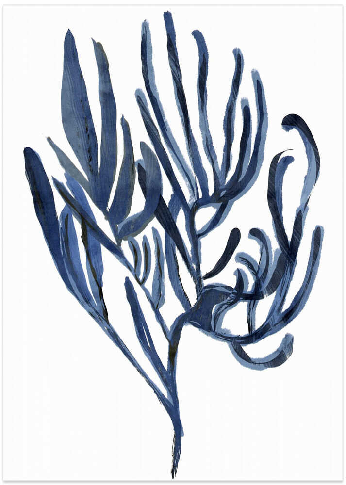 Blue Aquatic Plant Poster 3