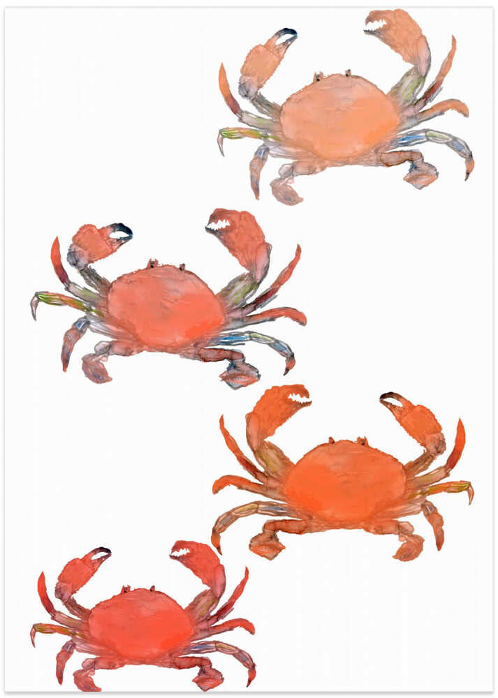 Crabs 1