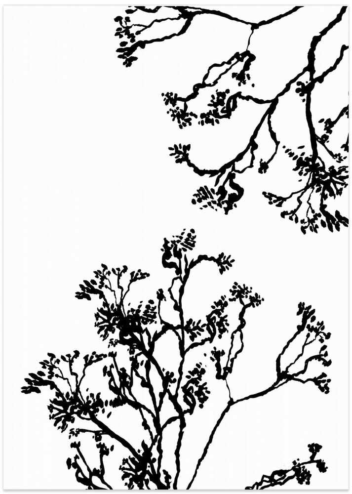 Blossom Trees Silhouette