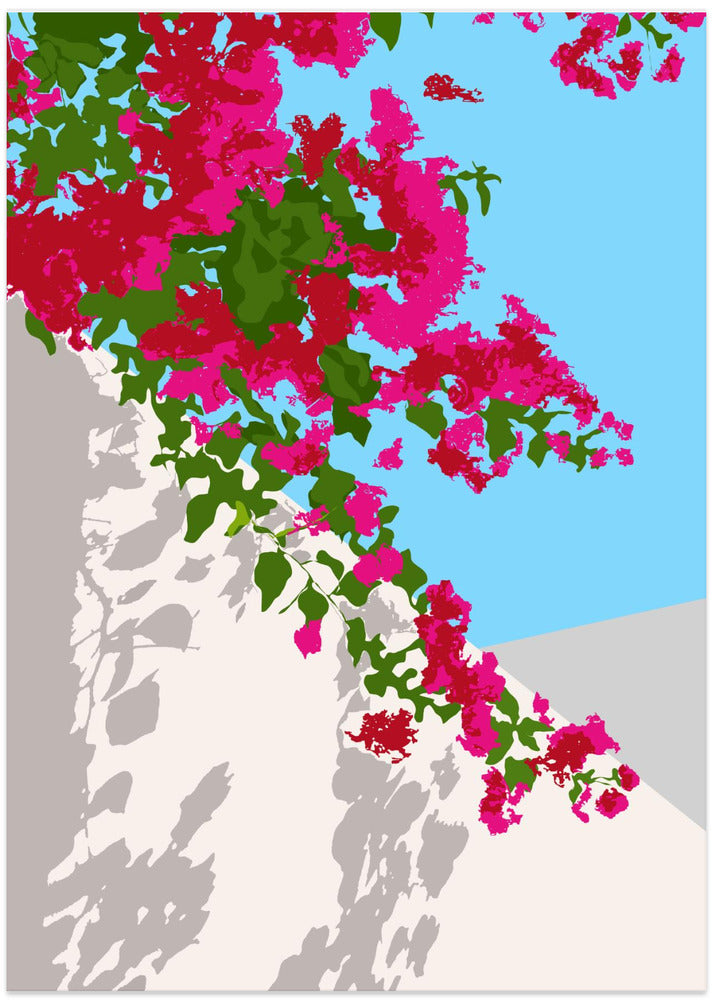 Bougainvillea Blossom