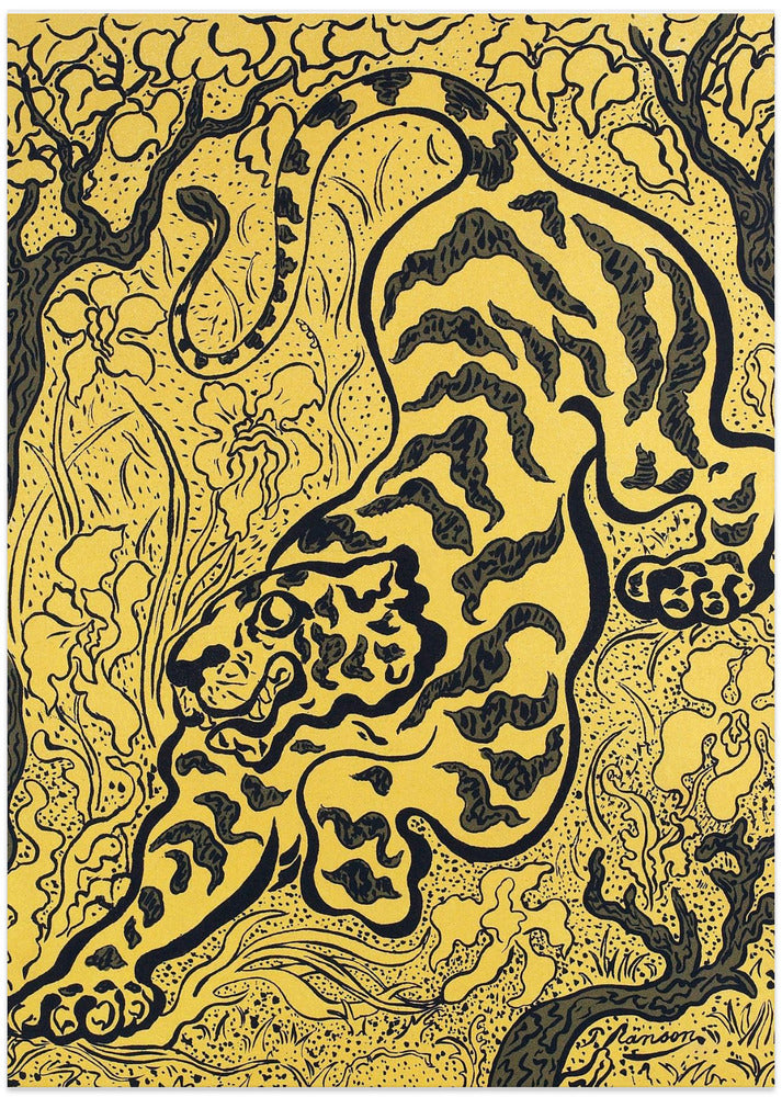 Tigre Dans Les Jungles