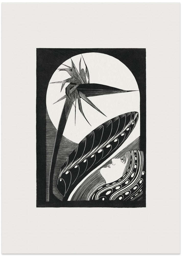 Strelitzia Overblown