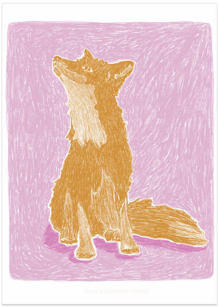 Pandc Littlefox Copy
