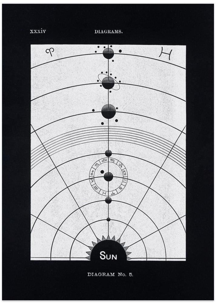 Solar Biology No. 5 Black (creative ed.)