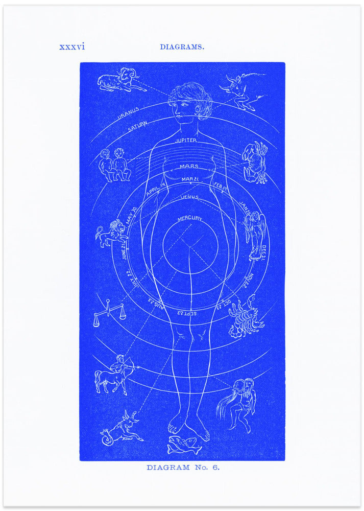 Solar Biology No. 6 blue (creative ed.)