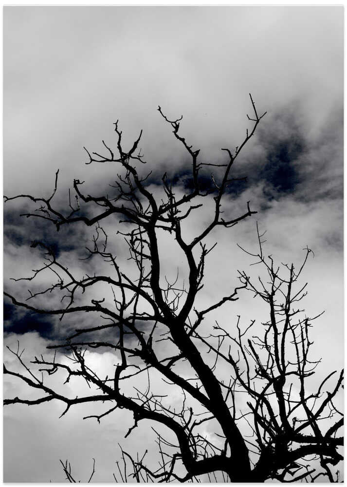 Dark Branches, Heavy Sky