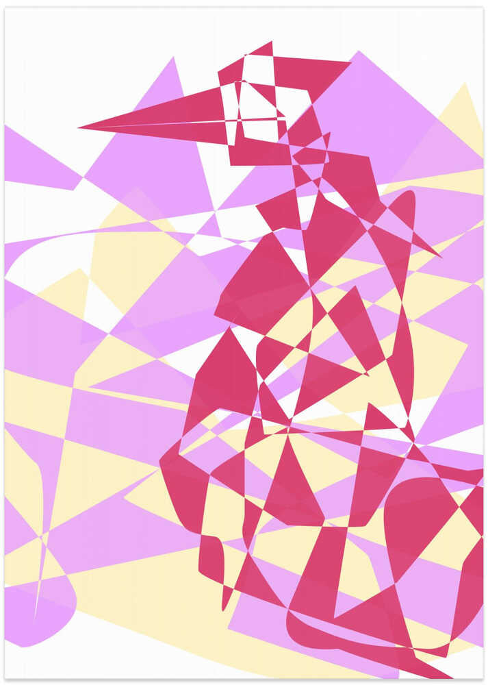 Geometric Bird Forms