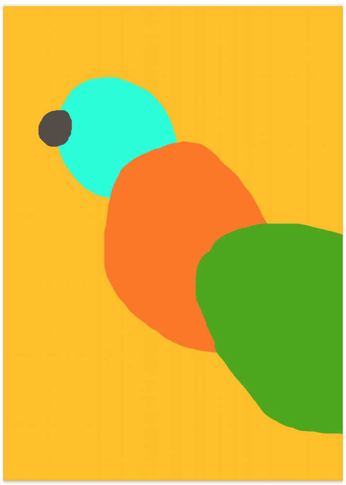 Colorful Parrot Tale