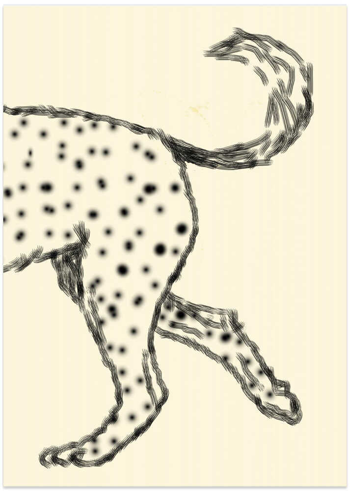 Spotted Graceful Steps