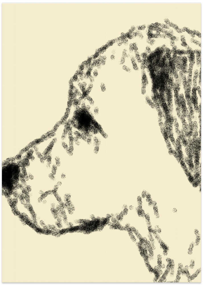 Canine Contours