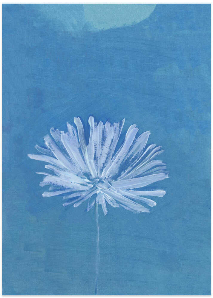 White Flower On Blue Background