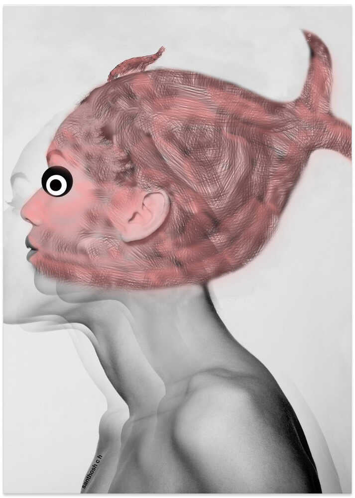Fish-Head Illusion