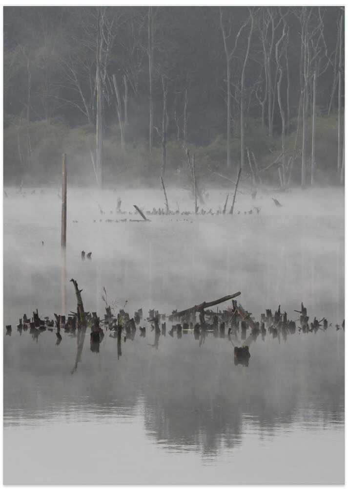Misty Lake Reflections