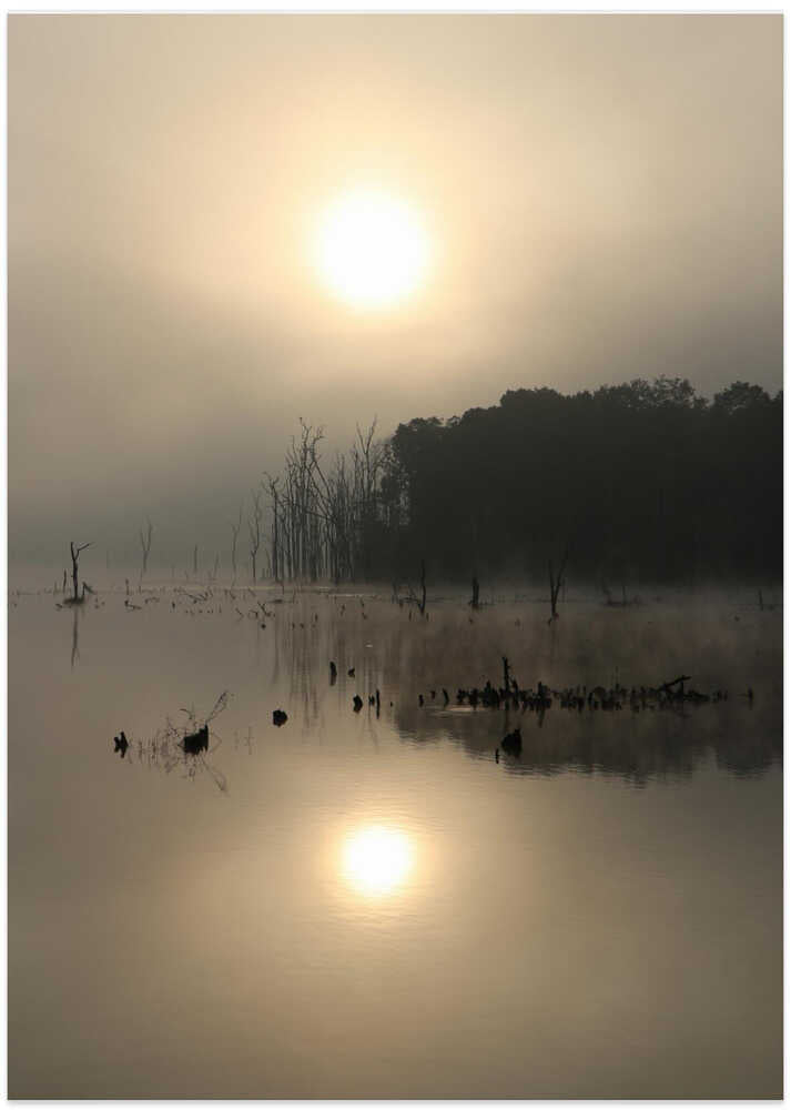 Misty Sunrise Reflections