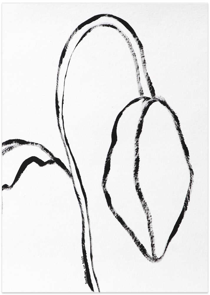 Petals in Monochrome