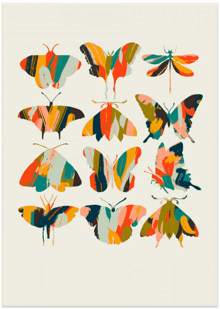 Colorful Butterflies