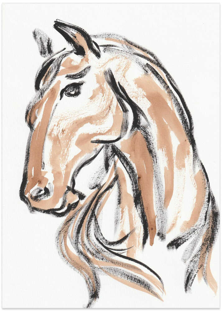 Majestic Equine Sketch