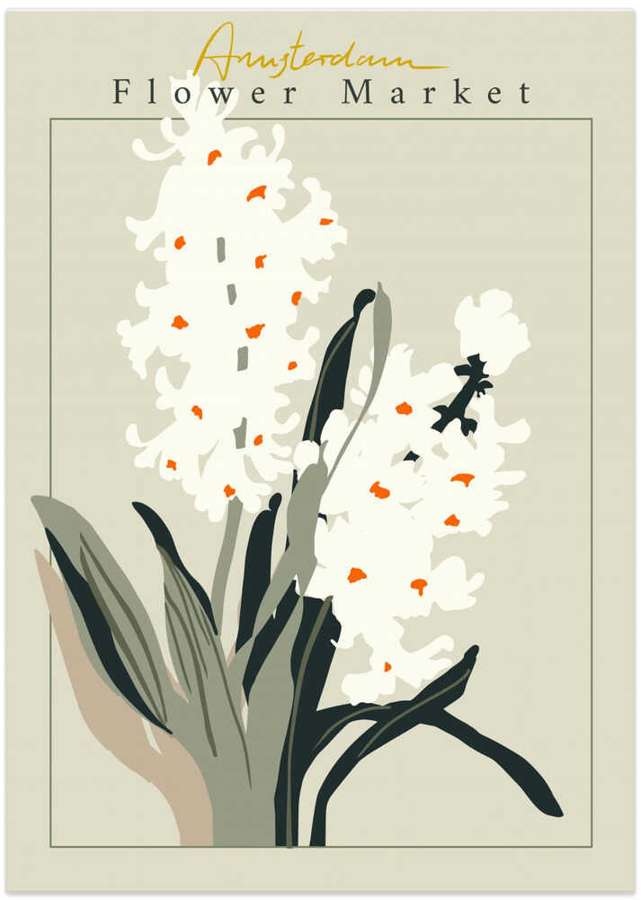 Flower Market Amsterdam Hyacinth