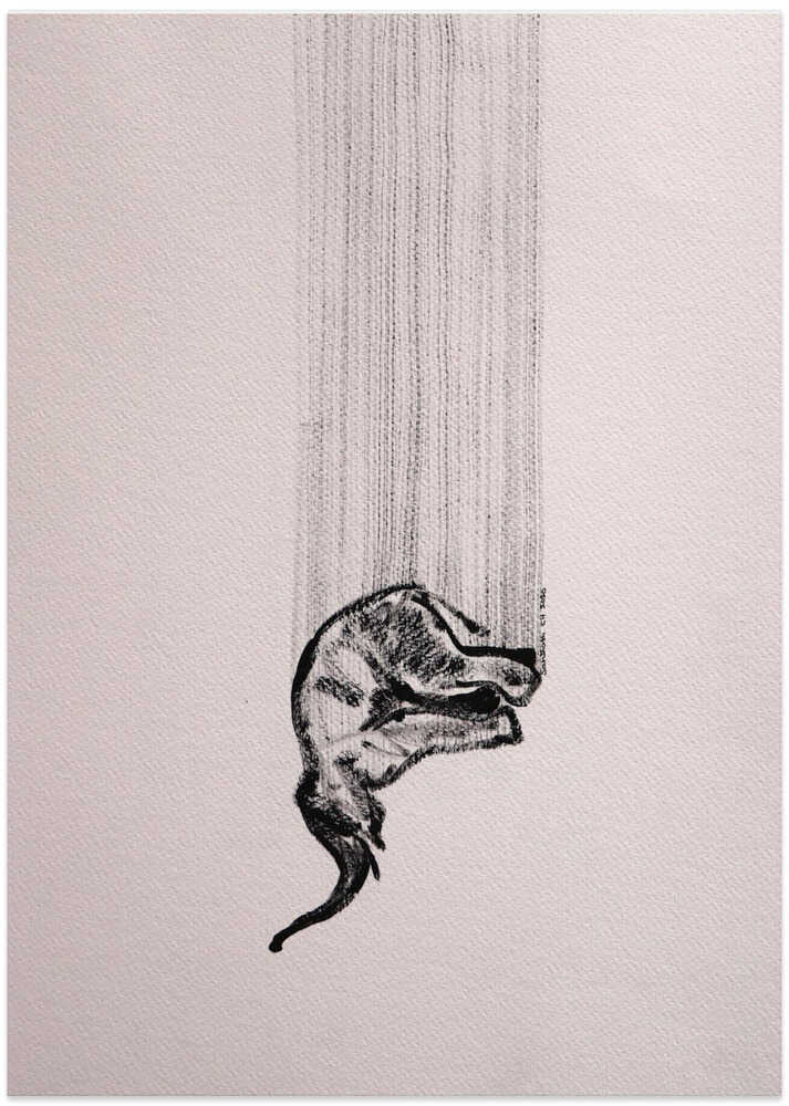 **Elephant Descend**