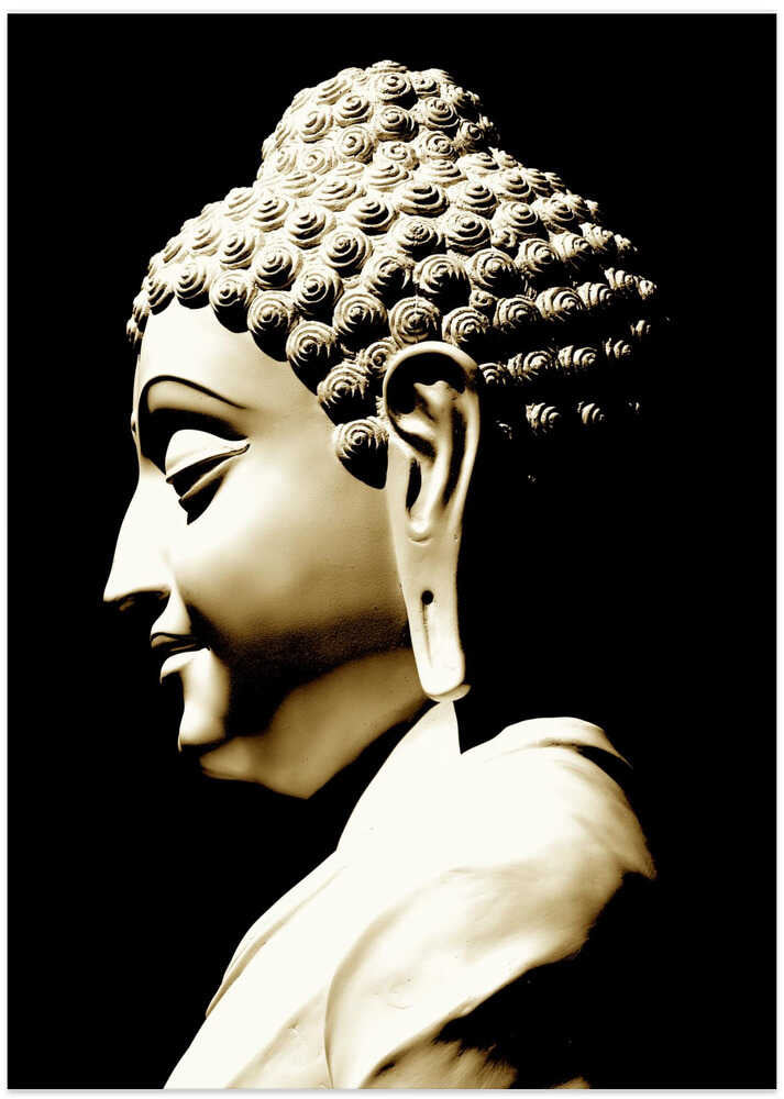 Serene Enlightenment