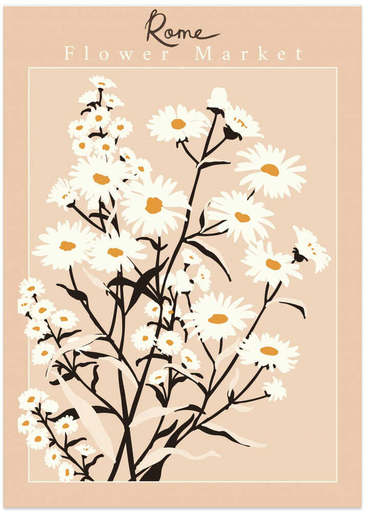 Flower Market Rome Aster