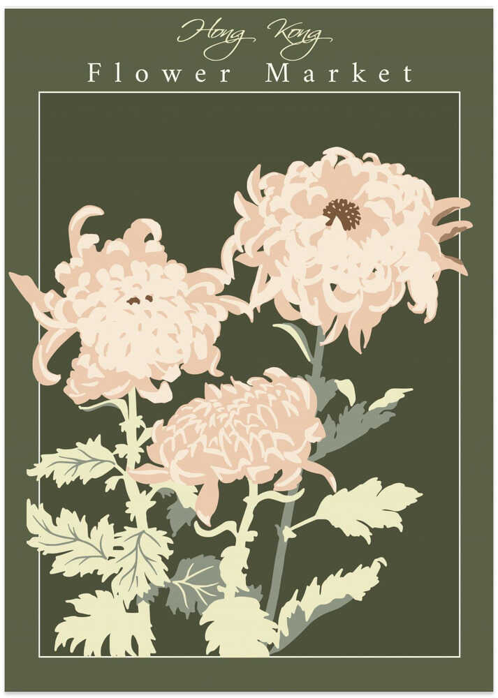 Flower Market Hong Kong Chrysanthemum