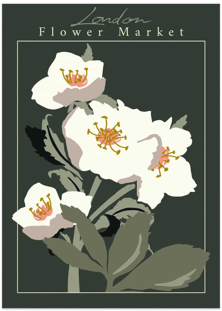 Flower Market London Hellebore