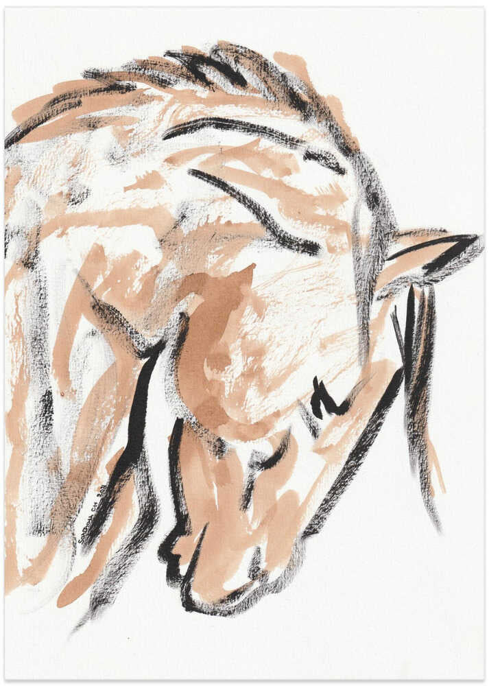 Gentle Equine Sketch