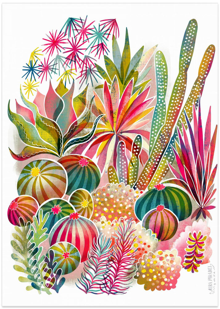 Flowering Succulent And Cacti Garden