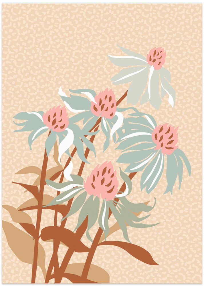 Wild Garden Girl's Eye Flower