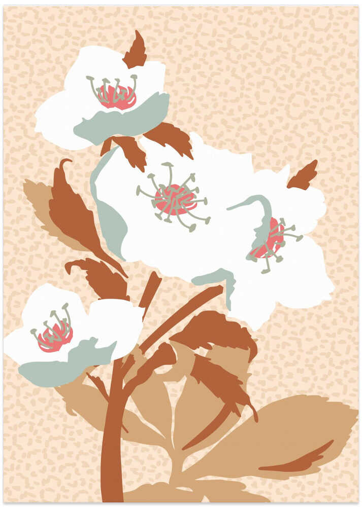 Wild Garden Helleborejpg