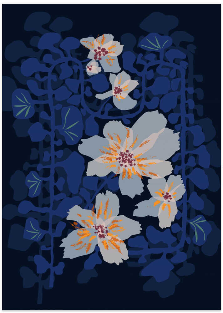 Orchids Shadow Blue Notes