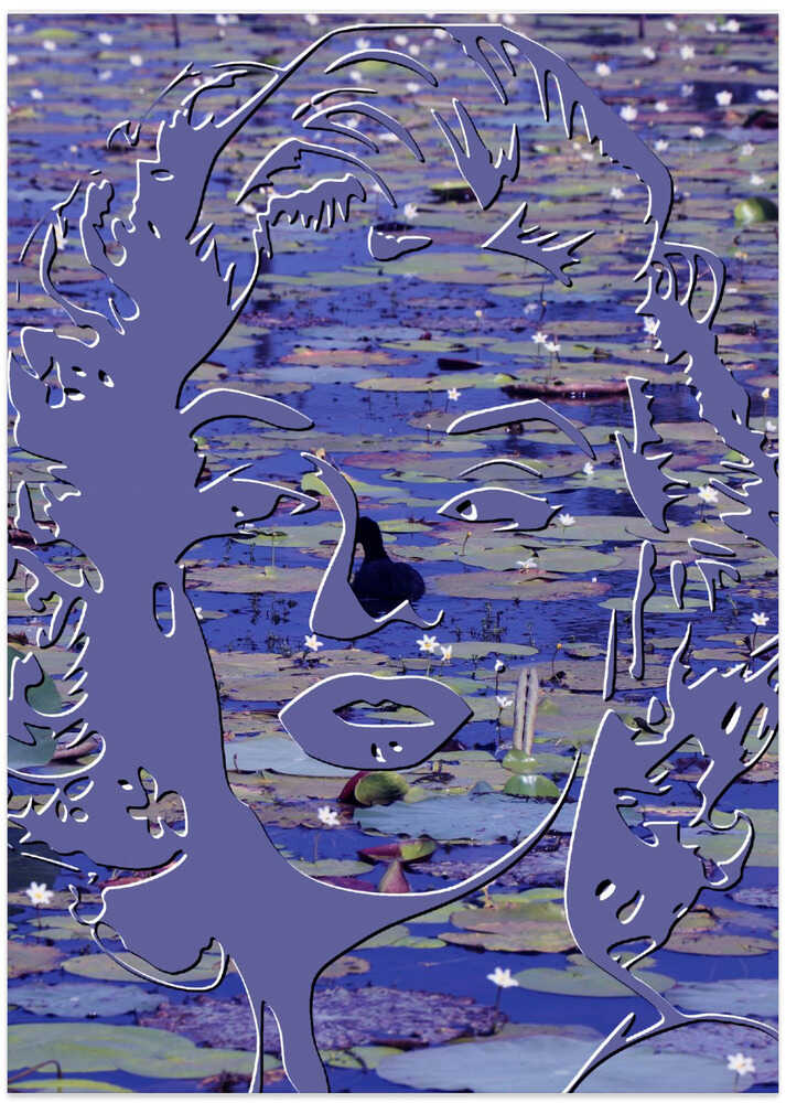 Waterlily Reflection