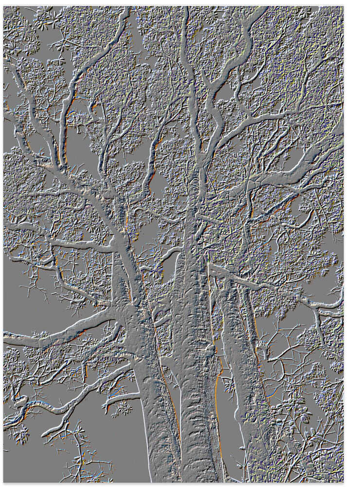 Frosted Tree Silhouette